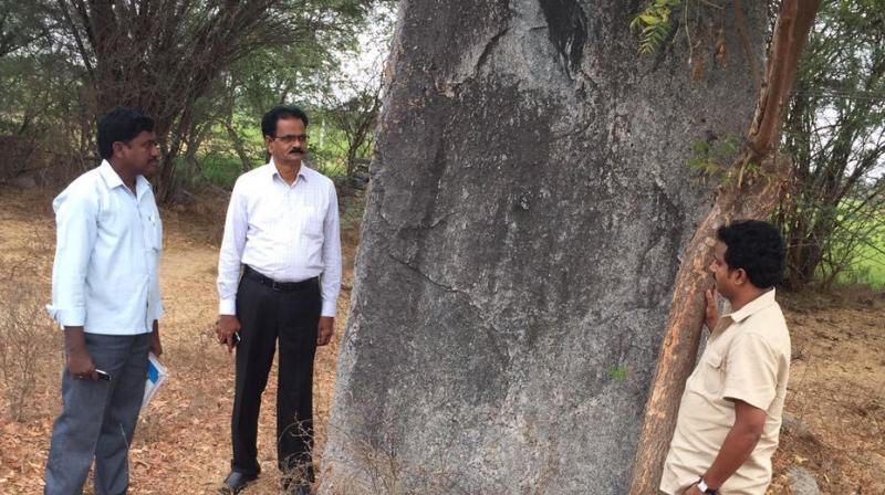 The ancient menhir that was discovered in Nalgonda  district. The structure  stands 11 feet high and was built as a memorial for warriors or tribal leaders in the region. Similar relics have been found in Guntur too.