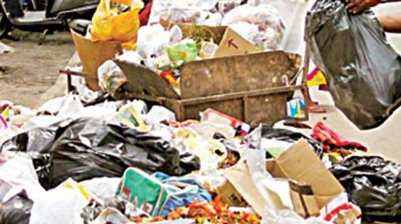 At present the city has been generating nearly 120 tonnes of wet garbage and it is difficult for the civic body to segregate and manage it.  (Representational image)