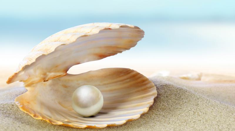 Experiencing pain and unrest, oysters begin secreting layer-upon-layer of nacre, which results in luminous, lovely pearls. (Photo: goodnewsunlimited.com)