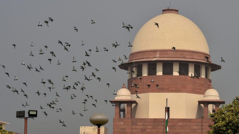 The 5-judge bench will constitute the Chief Justice, Justice SAâ€‰Bobde and Justice DYâ€‰Chandrachud. (Photo: PTI)