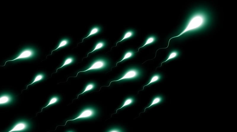 Over the past 50 years male infertility has been on the rise. (Photo: Pixabay)