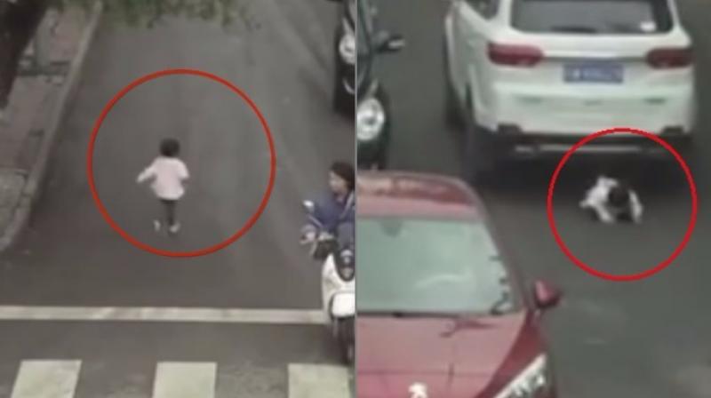 The video has astonished netizens (Photo: YouTube)