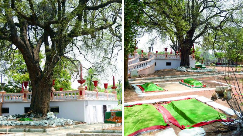 Graves discovered during the beautification works conducted by GHMC at tamarind tree at OGH.  (Photo: DC)