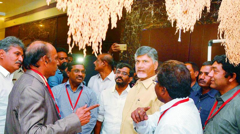 Chief Minister N. Chandrababu Naidu at the India Rice Conclave-2017 in Vijayawada on Wednesday. (Photo: DC)