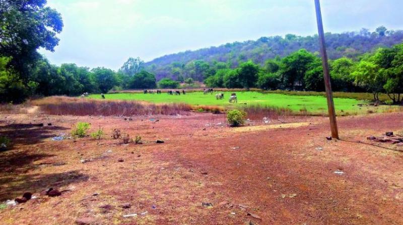 Officials have said that after allotting land for housing and other schemes, the remaining government land in Jubilee Hills and Banjara Hills are available in bits and pieces. (Representational image)