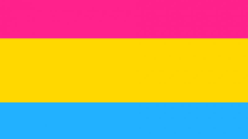 The pansexual pride flag . (Photo: Pixabay)