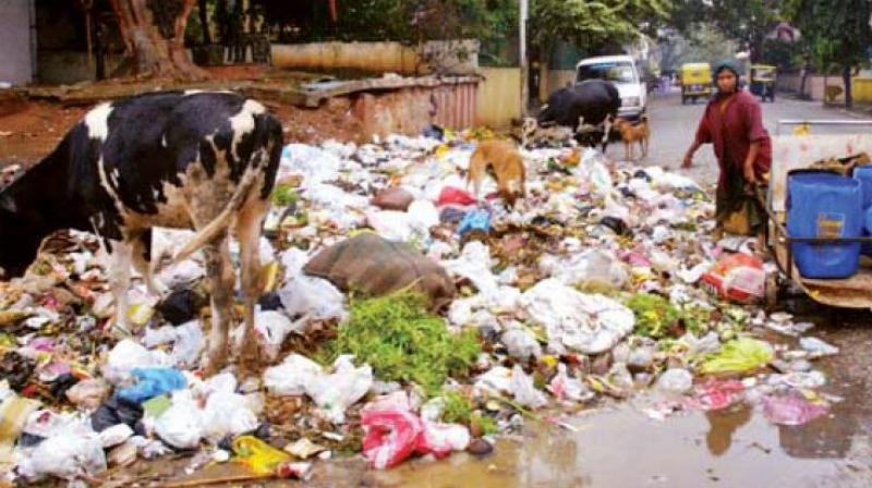 With the incessant rains, the unsegregated trash has been degrading faster than it is being transferred, making the entire area reek of rotting garbage.  (Representational image)