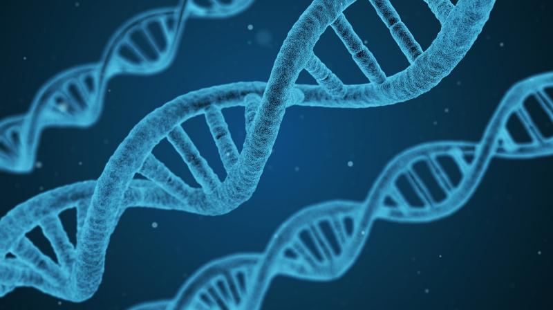 Genes damaged due to mutation in the womb linked to autism
