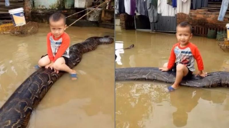 The clip from flood hit Vietnam baffled everyone (Photo: YouTube)