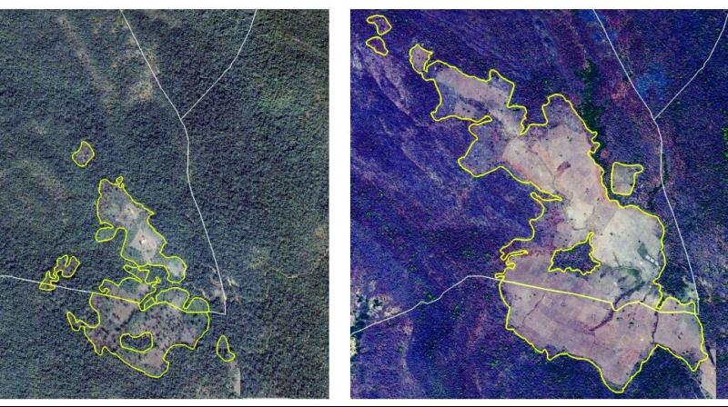 Satellite images of forest area show fast-paced deforestation at Kothagudem.