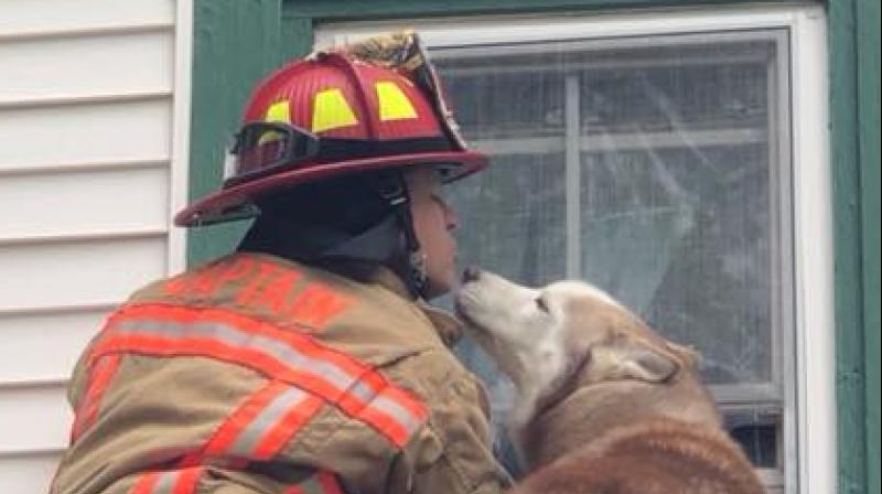 Sweet moment dog kisses firefighter who rescued him from a roof.   (Photo: Facebook / Wells Maine Police)