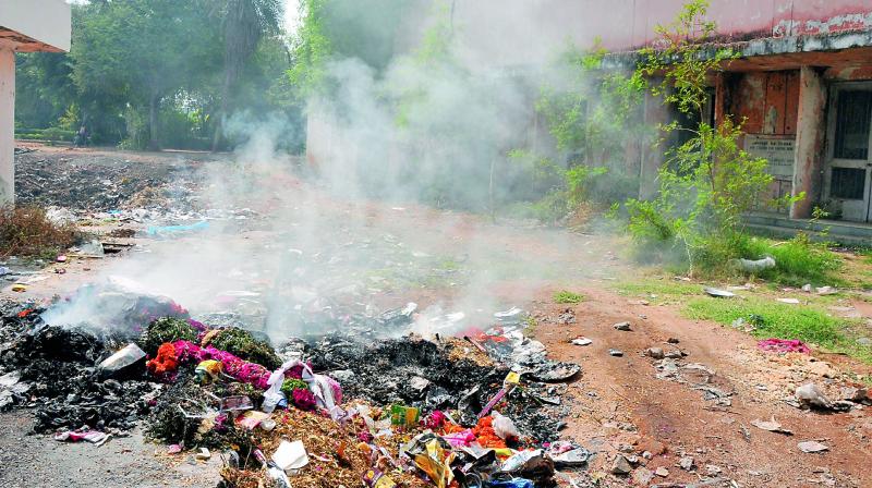 Burnt garbage greets visitors to the Public Gardens. (Photo: P. Surendra)
