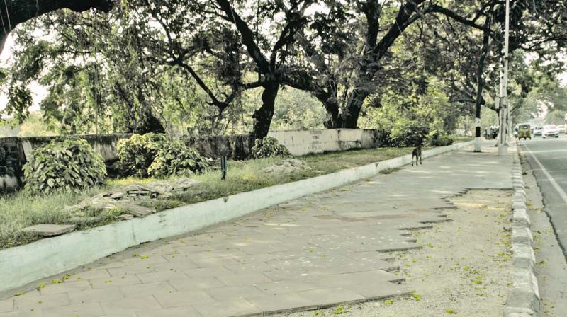 Majority of the concrete blocks are missing from the footpath near Raj Bhavan, Guindy. (Photo: DC)