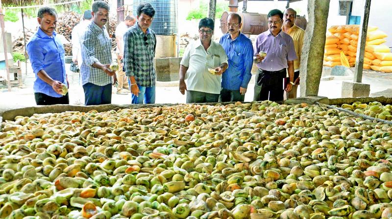 Food Safety authorities and tahsildar inspect the Agro industry which failed to maintain minimum hygiene in Anantapur. (Photo: DC)