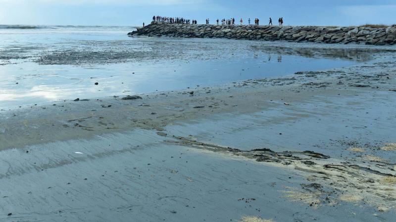 Water level on Kappad beach suddenly receded by around 200 meters, causing panic among people on Friday. (Photo: DC)