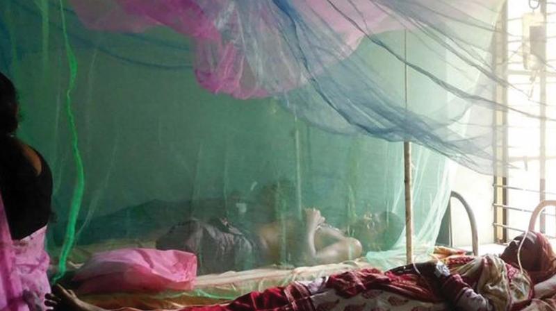 A dengue ward in Koorachundu CHC (file)