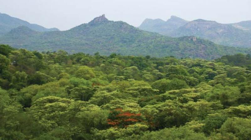 The budget noted that there is an increase of 289 sqkm of forest cover in Karnataka as per the India Forest Survey Report-2015.