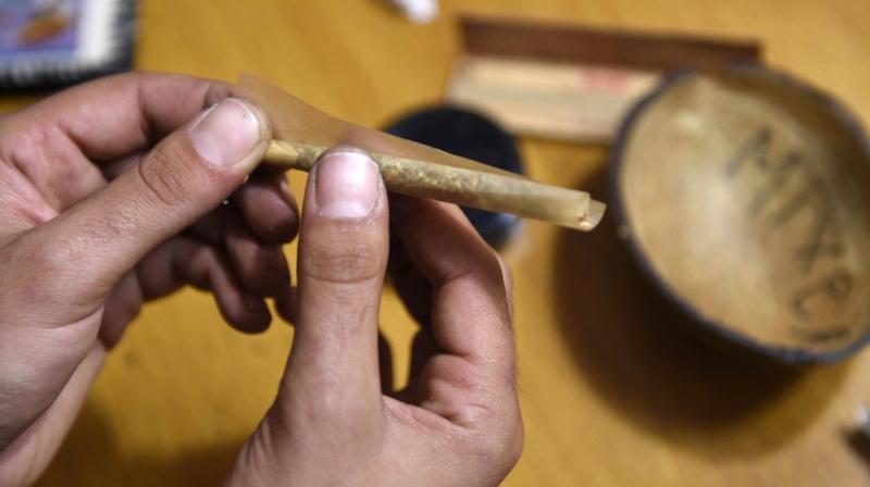 Some people are more vulnerable to the harmful effects of cannabis than others (Photo: AFP)