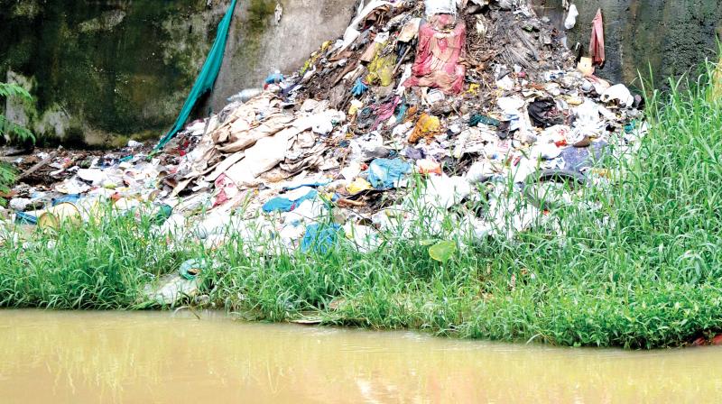 Plastic waste is seen dumped into Killi River at Edappazhanji on Monday, the day before World Environment Day(Photo: DC)