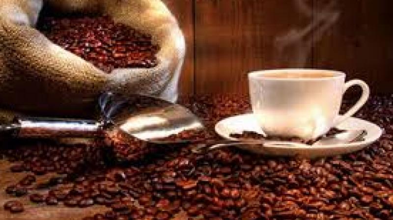 As per the Boards data, the shipment of robusta variety coffee increased by 21 per cent to 2,01,979 tonnes from 1,67,466 tonnes
