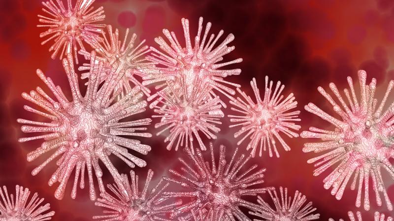 Highly lethal viruses can hijack cellular defences against cancer. (Photo: Pixabay)