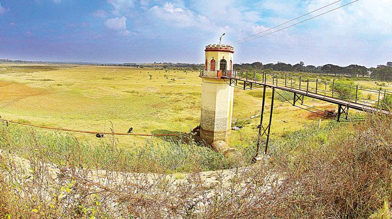 Hessarghatta reservoir in Bengaluru (Photo: DC)