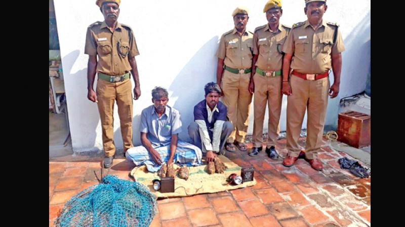 Kancheepuram foresters arrest two villagers for  poaching partridge on Thursday.(Photo: DC)