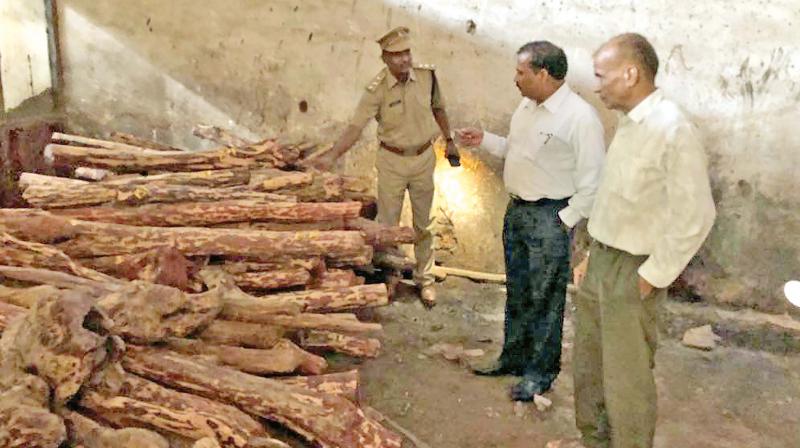 AP task force IG Dr Kantha Rao(centre) along with DRI additional director Pari Umashankar inspecting the red sanders stored in the customs warehouse on Tuesday. Forest range officer Lakshmpathi briefs them. (Photo: DC)