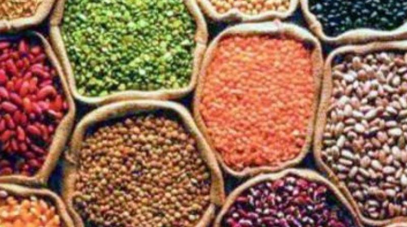 Kaveri Seeds shares fell nearly 14 per cent to a low of Rs 399 in the intra-day trade before finally closing at Rs 421.45, down 9.95 per cent, from the previous close. (Representational Image)