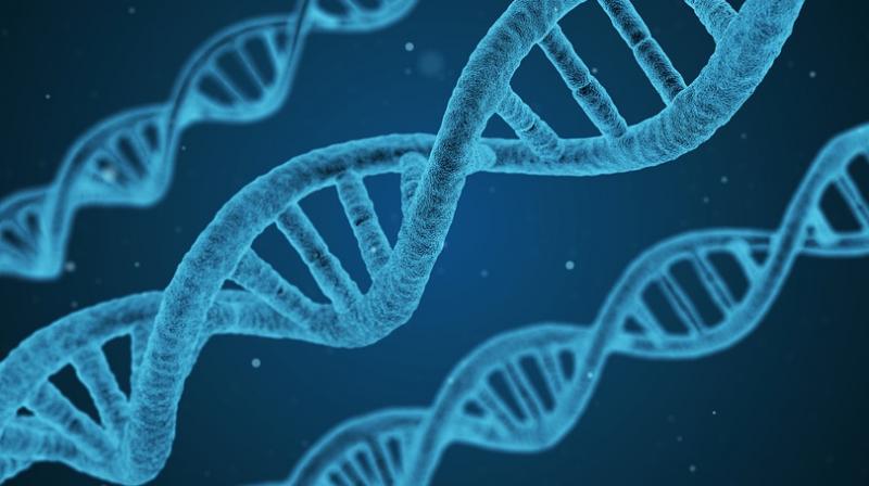 Signs of whether the first gene editing in the body works may come in a month. (Photo: Pixabay)