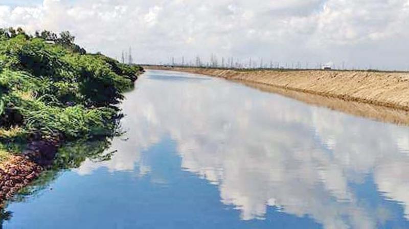 Buckingham canal is no more a cesspool as it has been de-silted recently. (Photo: DC)