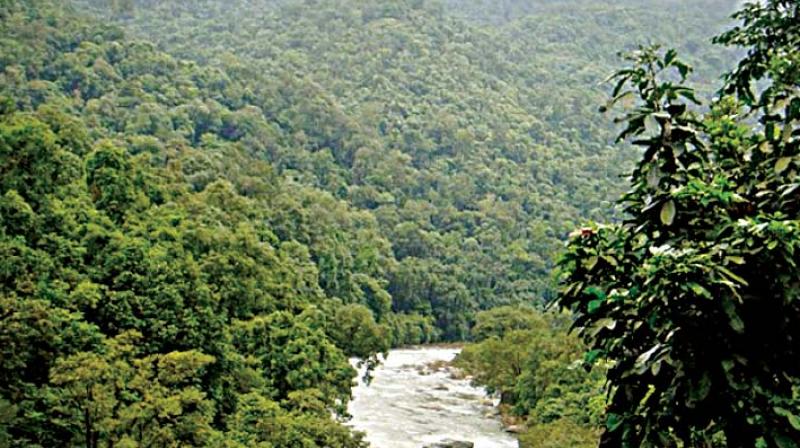 Once the Eco-Sensitive Zone is declared, restrictions would be imposed on human activity and development projects in villages in the forest periphery.
