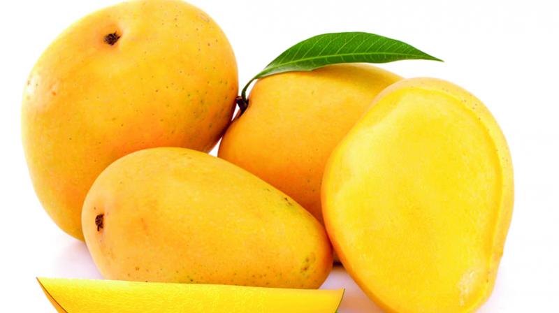 However, mangoes can also be enjoyed in various savoury forms. The trick is to balance it correctly with adequate amount of spice and salt!