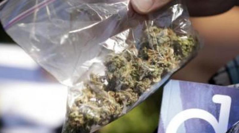 The police said that they received credible information that a man was selling ganja near the Vijayapura Circle bus stand in front of Jain temple on Thursday. (Representional Image)