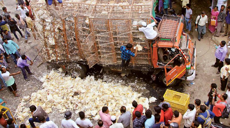 A lorry carrying chickens fell off the Yeshwanthpur flyover on Friday. Three people were injured and  thousands of chickens died. (Photo: DC)