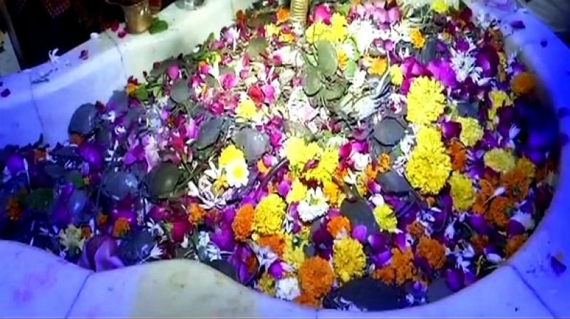 Devotees flock to the Ramnath Shiv Ghela temple with live crabs as offering to Lord Shiva. (Photo: ANI)