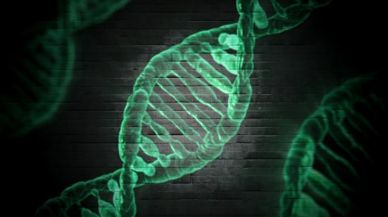 Without genetic testing, the genetic changes causing the developmental problem can not be detected by standard diagnostic testing. (Photo: Pixabay)