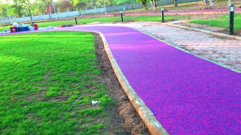 A model eco-friendly footpath; (inset) colourful plastic paver blocks that would be used to lay the footpath