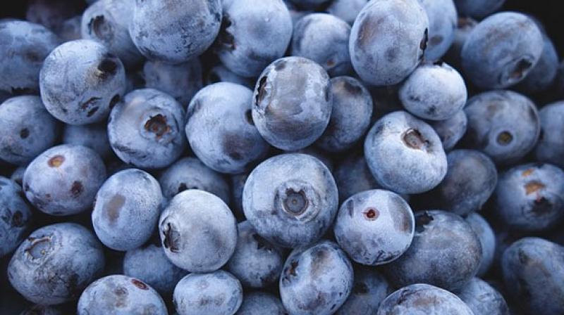 Two doses of concentrated blueberry juice helps to prevent oxidation damage to the brains messenger chemicals. (Photo: Pixabay)