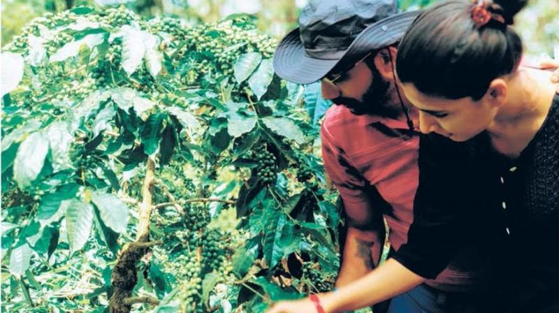 Vishal and Aditi Mehta foster wildlife on their organic coffee plantation while making sure the brew you have in the morning is of high quality.