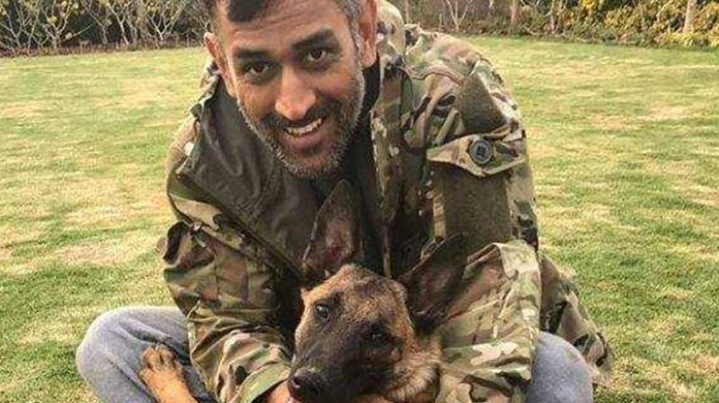 On Wednesday, the Jharkhand batsman shared a video on Instagram of a walk with the pack. (Photo: Instagram / MS Dhoni)