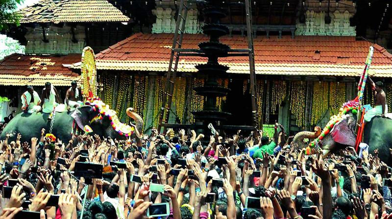 Most of these deitified animals that are paraded at even world-renowned spectacles such as the Thrissur Pooram (sometime in April) are drugged to make them fall in line.