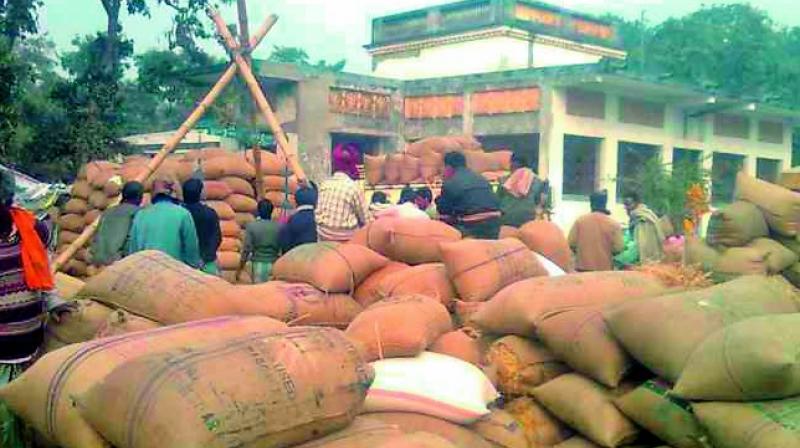 Farmers wait for their paddy to be lifted at a government-run procurement centre in Odisha.