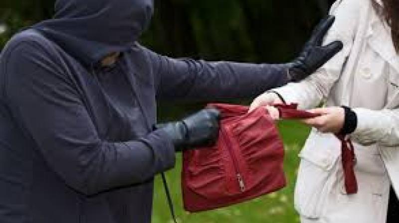 He ran away with her purse that had her mobile phone, bank cards, ID and some money in it.  (Representational image)