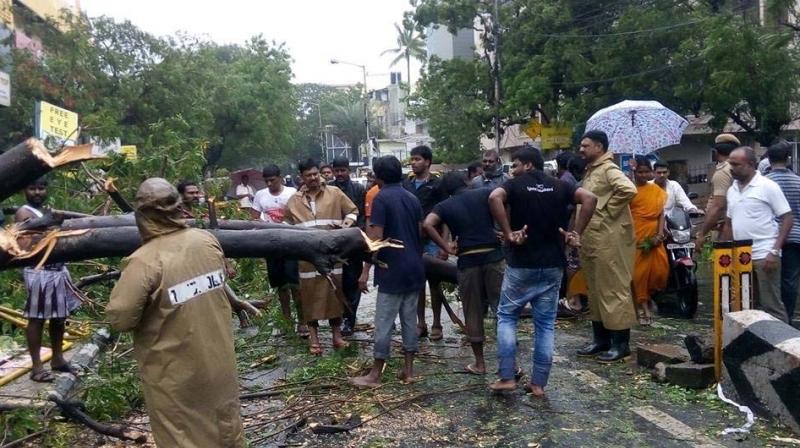 T Nagar deputy commissioner of police P. Saravanan and his team clear a tree uprooted on Thirumalai Pillai Road on Thursday. (Photo: DC)