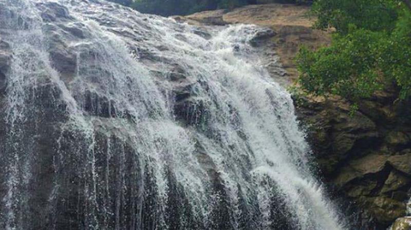 Thottikallu Falls, where the students drowned (Representional Image)