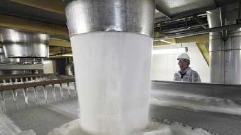 Higher sugarcane area will help boost sugar production. (Photo: AFP)