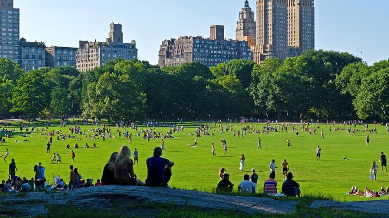 Central Park in New York City. (Photo: Pixabay)