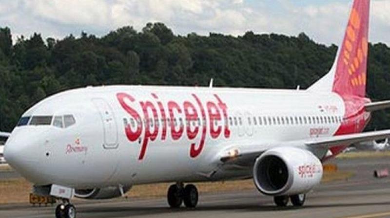 Monkeys on runway forces SpiceJet flight to abort take-off