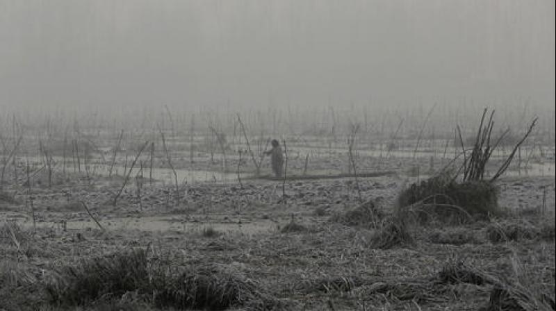 A Kashmiri fisherman breaks the surface ice as he tries to row his boat through a weed covered lake on a cold day in Srinagar.